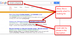 screen capture of Google search showing boldface in title and meta description tags