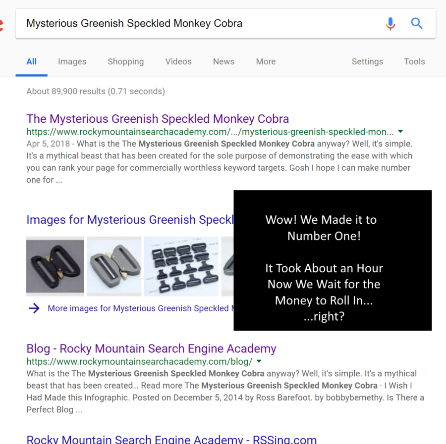 Google Number One Search Results for a worthless keyword