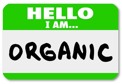 image to illustrate organic search blog post